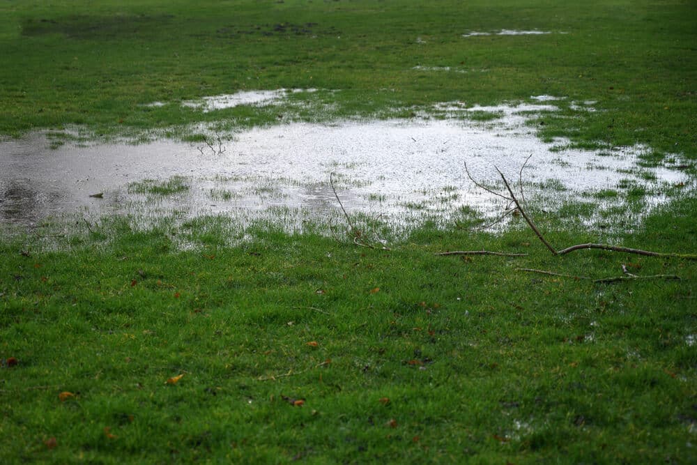 Standing water in a poorly graded yard