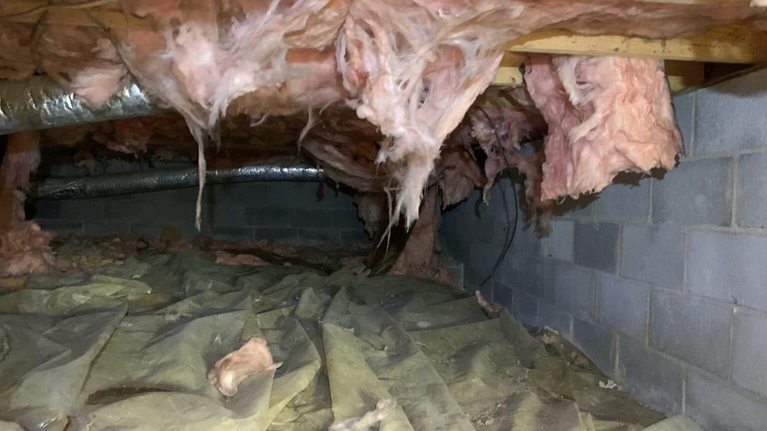 Damp Insulation in a Crawl Space