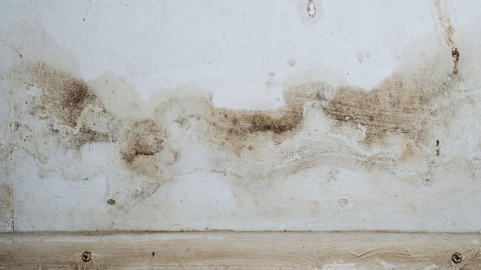 mold on water damaged drywall